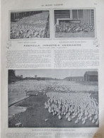 1902 Nouvelle Industrie Américaine  ELEVAGE INTENSIF   Canards Engraissés Boston Ducks Farme U.s.a - Zonder Classificatie