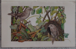 Petit Calendrier De Poche 1983 Illustration Alan Baker Oiseaux Nid - Librairie Noisy Le Grand - Tamaño Pequeño : 1981-90