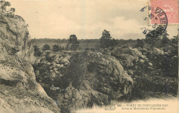 77 - FORET DE FONTAINEBLEAU - CAHOS ET MASTODONTES D'APREMONT - Fontainebleau