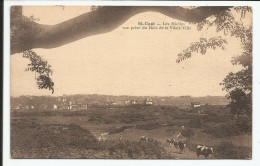Les Mielles  Vue Prise Du Bois De La Vieux Ville   1910-20   N° - Saint-Cast-le-Guildo