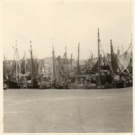 Photo -  URK  -  Le  Port  -  Aout 1959 - Places