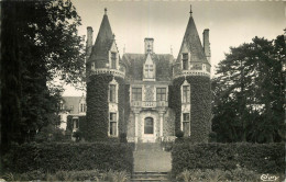 49 - CHAMPTOCE - CHÂTEAU DU PIN - Other & Unclassified