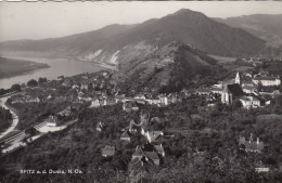 Spitz An Der Donau, Niederösterreich, Panorama Gl1974 #G5141 - Other & Unclassified