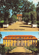 Dessau Staatliches Museum Schloss Mosigkau Gl1981 #171.855 - Sonstige & Ohne Zuordnung