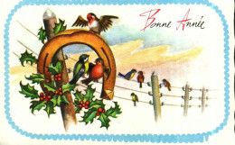 Petite Carte Mignonette       Bonne Année   Oiseaux Sur Des Fils, Fer à Cheval, Houx - New Year