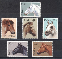 Pologne 1989- Horses Set (6v) - Unused Stamps