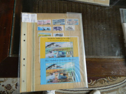 Anees Complete Terre Australes 2006 Neuf - Unused Stamps