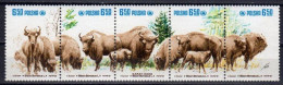 Poland 1981. Nature Conservancy, Bison. Fauna. Animals.  MNH - Ungebraucht