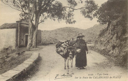 CORSE  PIANA  Type Corse Sur La Route De Calanches A Piana - Andere & Zonder Classificatie