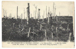 02 La Ville Au Bois - Les Ruines De La Grande Guerre -  Le Bois Des Buttes - Other & Unclassified