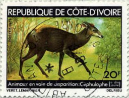 Côte D'Ivoire (Rep) Poste Obl Yv: 502 Mi 598 Cephalophe (TB Cachet Rond) - Ivoorkust (1960-...)