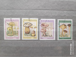 1995	Guinea	Mushrooms (F97) - Guinee (1958-...)