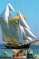 CPM - VOILIER à 2 Mâts "SEA SHELL, Ex ELISABETH LOUW" - Edition Cl.Pastor - Sailing Vessels