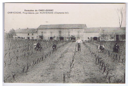 CHARENTE-MARITIME - Domaine De CHEZ-ODART - CHANCOGNE, Propriétaire, Par MONTENDRE ( Animation ) - Vigne