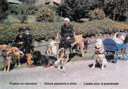 ¤¤  -   LE MOLAY-LITTRY   -  Lot De 6 Cartes D'Attelage De Chiens  -  Voiture à Chien     -  ¤¤ - Sonstige & Ohne Zuordnung