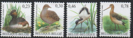 Oiseaux - Birds - Vogels 2006 XXX - Nuovi