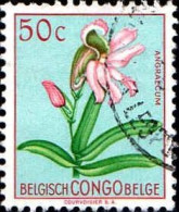 Congo Belge Poste Obl Yv:307 Mi:300 Angraecum (TB Cachet Rond) - Altri & Non Classificati