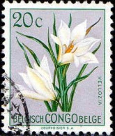 Congo Belge Poste Obl Yv:304 Mi:297 Veliozia (Beau Cachet Rond) - Altri & Non Classificati