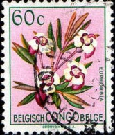 Congo Belge Poste Obl Yv:308 Mi:301 Euphorbia (TB Cachet Rond) - Andere & Zonder Classificatie