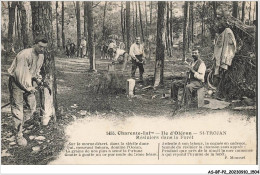 AS#BFP2-17-0753 - ILE D'OLERON - SAINT-TROJAN - Résiniers Dans La Forêt - Ile D'Oléron