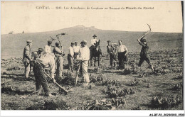 AS#BFP2-15-0751 - CANTAL - Les Arracheurs De Gentiane Au Sommet Du Plomb Du Cantal - Other & Unclassified