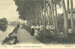 89  AUXERRE - L' ARBRE SEC - BORD DE L' YONNE (ref 9261) - Auxerre