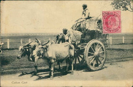 INDIA - COTTON CART - MAILED TO ITALIAN CONSULAT SHANGHAI - 1908 / STAMP (18394) - Inde