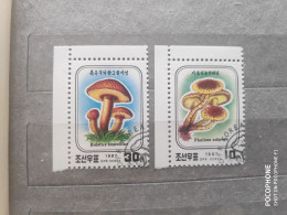 1987	Korea	Mushrooms (F97) - Korea (Nord-)