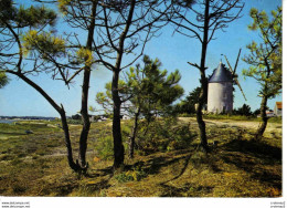 85 ILE DE NOIRMOUTIER N°85 235 Moulin à Vent Sur La Plage à La Guérinière Édit Vieux Chouans Fromentine - Ile De Noirmoutier