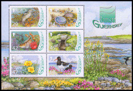 Guernsey 2006, Mi. Bl. 43 ** - Guernesey