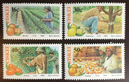 Ciskei 1988 Citrus Farming Fruits MNH - Frutta