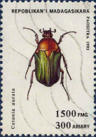 Madagascar (Rep) Poste Obl Yv:1323P Mi:1662 Cetonia Aurata (Lign.Ondulées) - Madagaskar (1960-...)