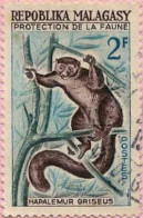 Madagascar (Rep) Poste Obl Yv: 357 Mi:467 Hapalemur Griseus Lémurien (cachet Rond) - Madagaskar (1960-...)