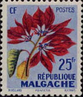 Madagascar (Rep) Poste N** Yv: 337 Mi:441 Poinsetia - Madagascar (1960-...)