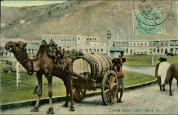 YEMEN - ADEN - CAMEL WATER CART - EDIT I. BENGHIAT SON - 1909 / STAMP / POSTMARK  (18398) - Jemen