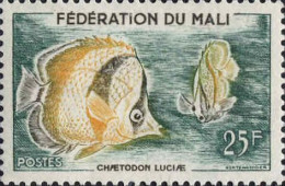 Mali Poste N** Yv:   6 Mi:10 Chaetodon Luciae - Mali (1959-...)