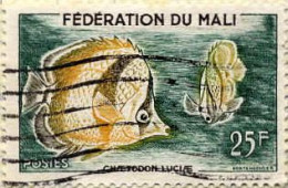 Mali Poste Obl Yv:   6 Mi:10 Chaetodon Luciae (Lign.Ondulées) - Mali (1959-...)