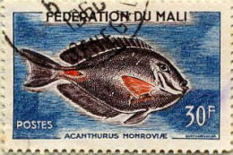 Mali Poste Obl Yv:   7 Mi:11 Acanthurus Monroviae (TB Cachet Rond) - Mali (1959-...)