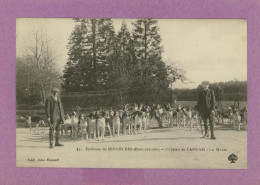 Environs De SENONCHES : Château De Tardais, La Meute - Chiens, Chasse (z4122) - Autres & Non Classés