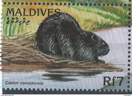 Maldives  -1996  - Fauna - Castor Candensis - MNH. ( OL 28/05/2019 ) - Maldive (1965-...)