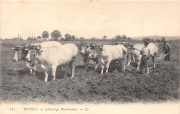 03-BUSSET- LABOURAGE BOURBONNAIS - Andere & Zonder Classificatie