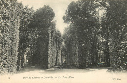 60 - CHÂTEAU DE CHANTILLY - LES TROIS ALLEES - Chantilly