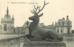 60 - CHÂTEAU DE CHANTILLY - CERF PAR CAÏN - Chantilly
