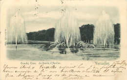78 - VERSAILLES - BASSIN D'APOLLON - Versailles (Château)