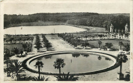 78 - VERSAILLES - L'ORANGERIE ET LA PIECE D'EAU - Versailles (Schloß)