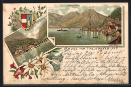 Vorläufer-Lithographie Hallstatt, 1894, Gosau-Mühle, Ortsansicht, Hallstätter See  - Andere & Zonder Classificatie