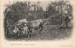 Aix Les Bains * Attelage De Boeufs Au Labour * Agriculture - Aix Les Bains