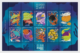 CARIBBEAN NETHERLANDS (Bonaire) 2024 FAUNA Underwater World - Fine Sheet MNH - Otros - América