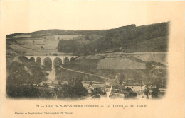 69 - GARE DE SAINT NIZIER D'AZERGUES - LE TUNNEL - LE VIADUC - Other & Unclassified