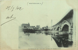 25 - MONTBELIARD - LA PASSERELLE SUR L'ALLAN - Montbéliard